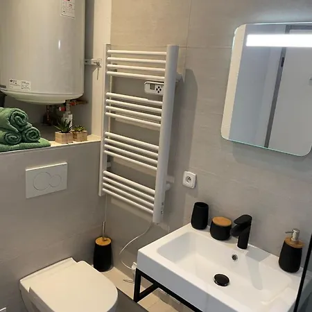 Chaleureux F2 Dans L'hypercentre Colmarien アパート *