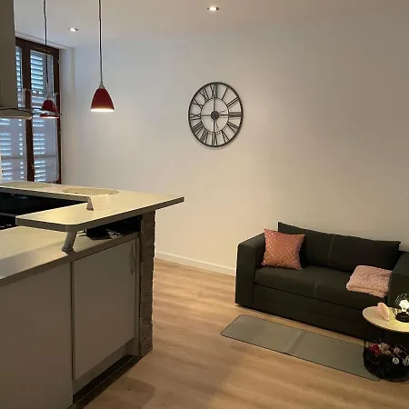 Chaleureux F2 Dans L'hypercentre Colmarien *