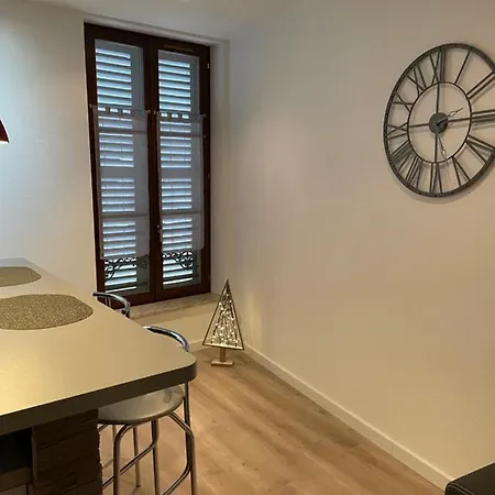 شقة Chaleureux F2 Dans L'hypercentre Colmarien