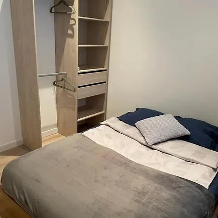 Chaleureux F2 Dans L'hypercentre Colmarien *